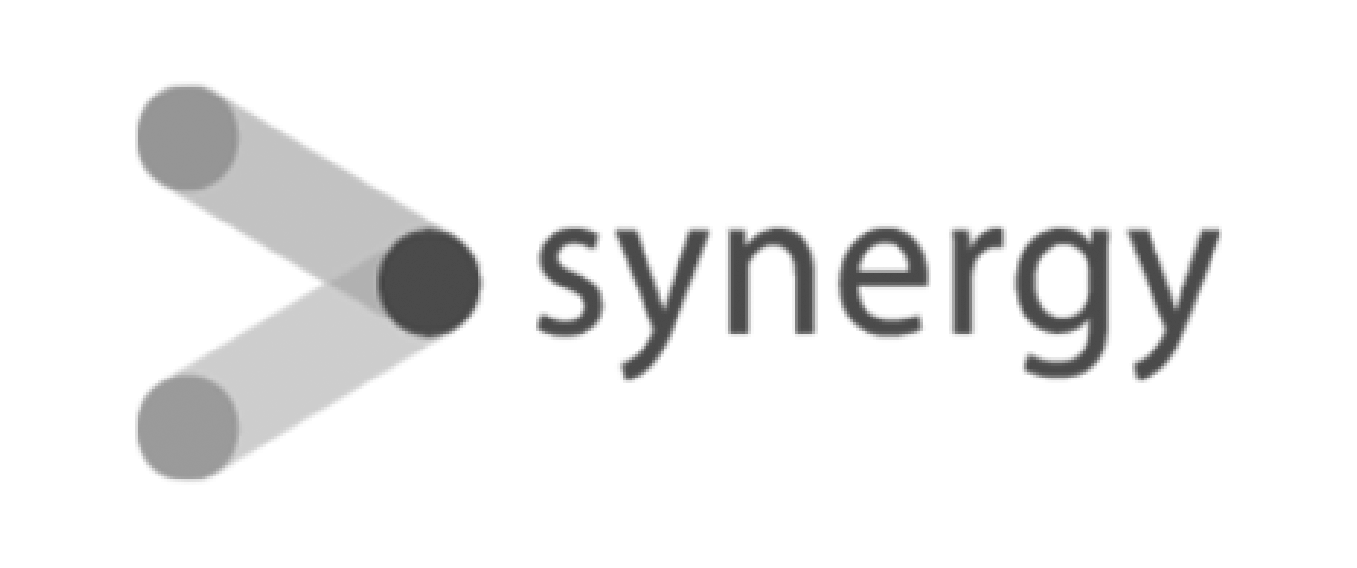 Synergy Integration
