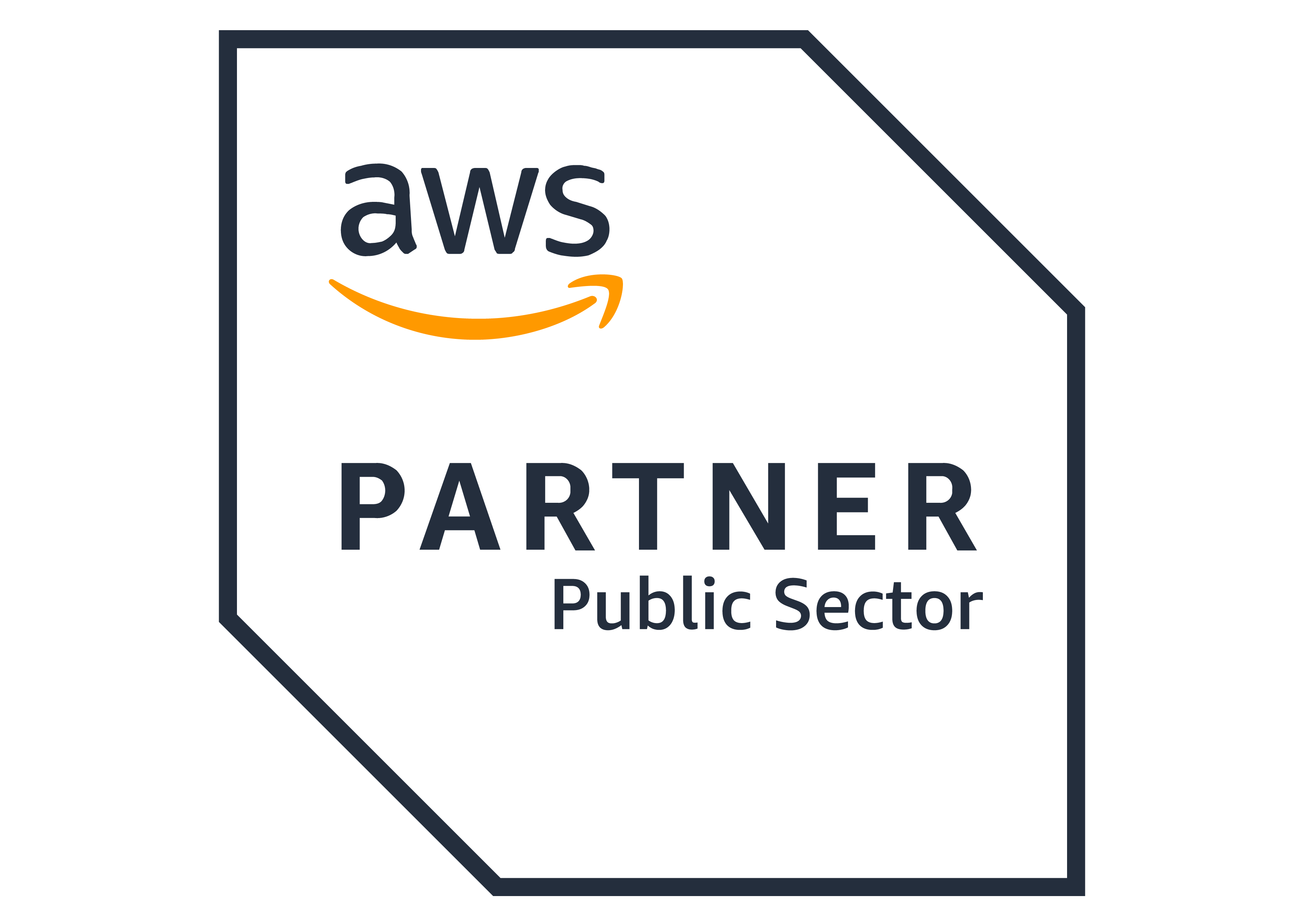 AWS Amazon Web Service Public Sector Partner logo